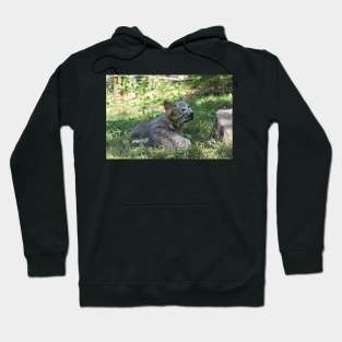 Wolf Puppies Hoodie